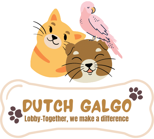 Dutch Galgo Lobby